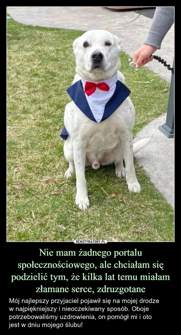 Nie mam żadnego portalu społecznościowego, ale chciałam się podzielić tym, że kilka lat temu miałam złamane serce, zdruzgotane