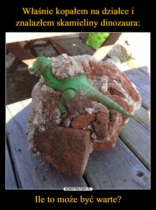 
    Właśnie kopałem na działce i znalazłem skamieliny dinozaura: Ile to może być warte?
