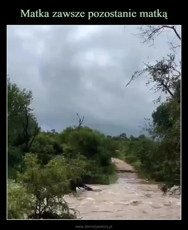 
    Matka zawsze pozostanie matką