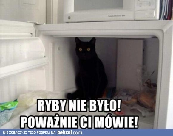 Nie było tu żadnej ryby!