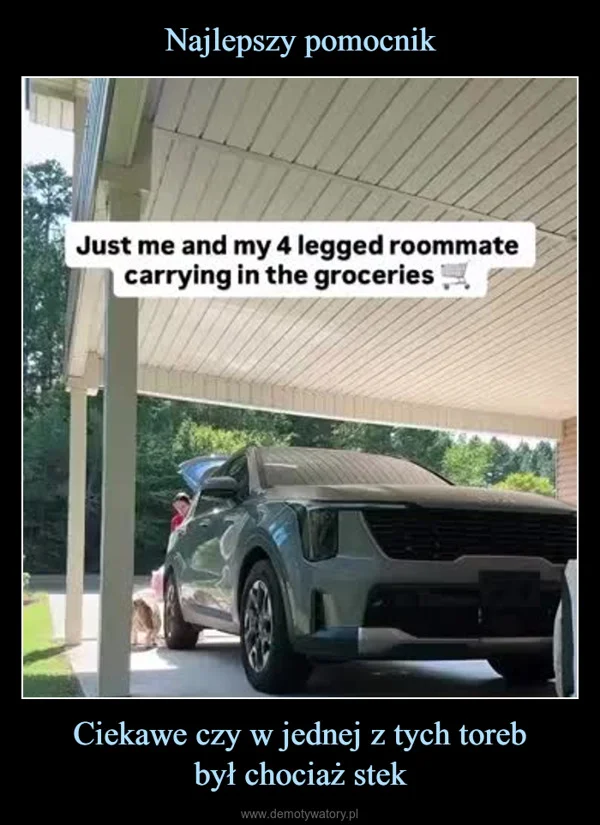 
    Najlepszy pomocnik Ciekawe czy w jednej z tych toreb był chociaż stek