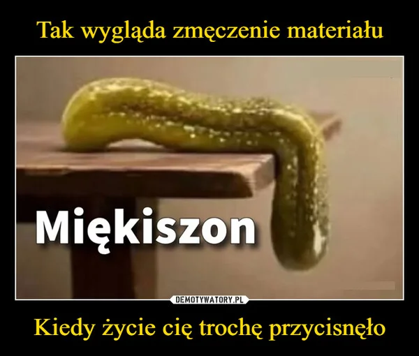 
    Tak wygląda zmęczenie materiału Kiedy życie cię trochę przycisnęło