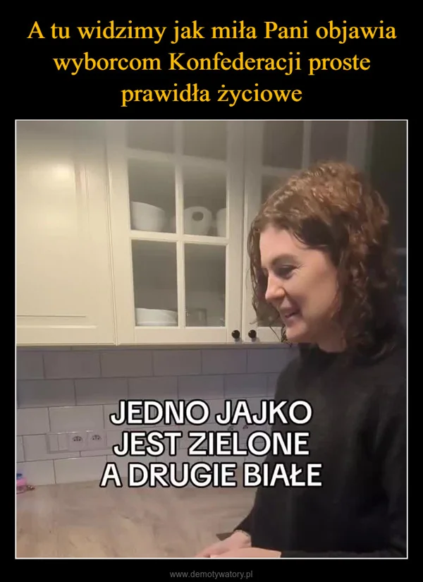 A tu widzimy jak miła Pani objawia wyborcom Konfederacji proste prawidła życiowe