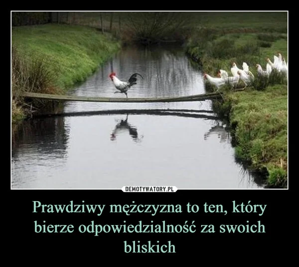 
    Prawdziwy mężczyzna to ten, który bierze odpowiedzialność za swoich bliskich