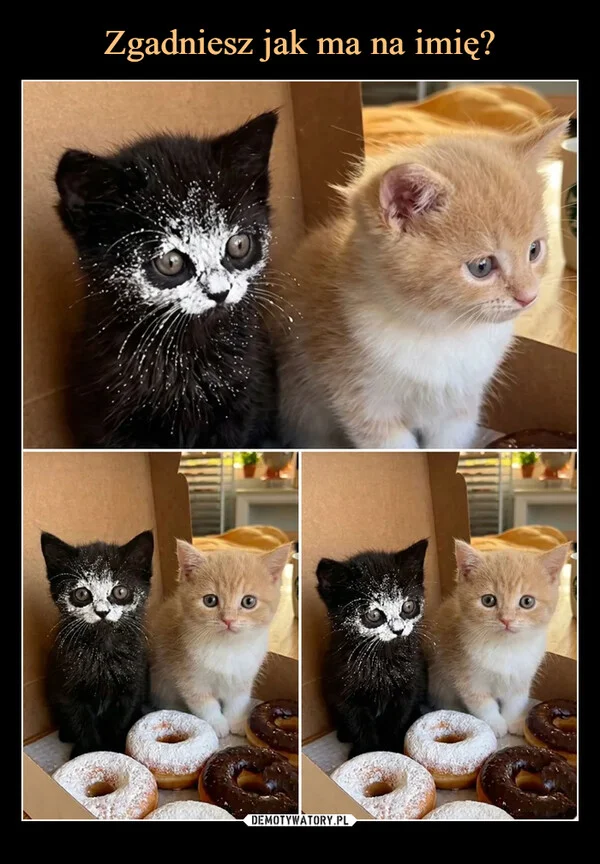 Zgadniesz jak ma na imię?
