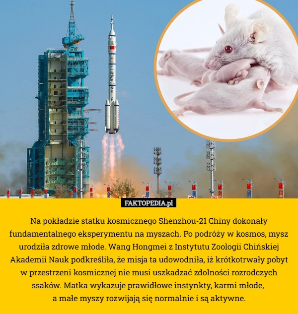 Na pokładzie statku kosmicznego Shenzhou-21 Chiny dokonały fundamentalnego