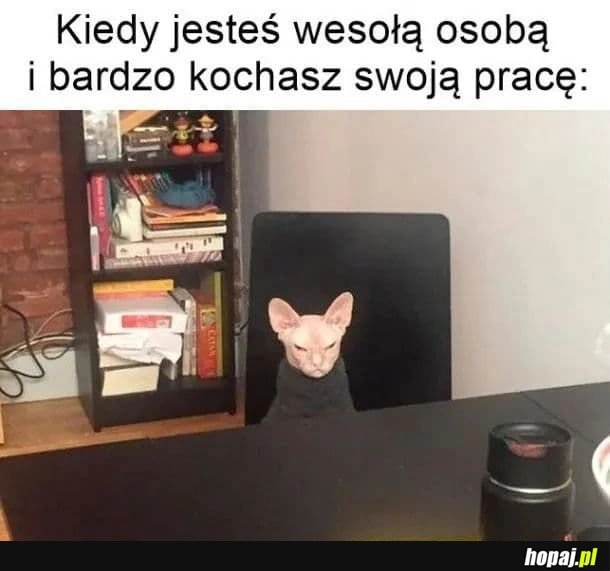 Praca