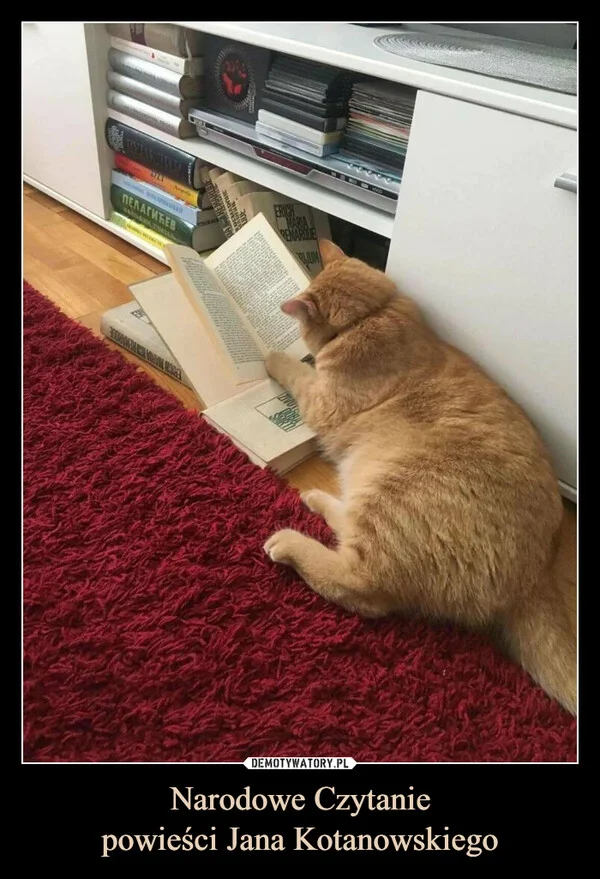 
    Narodowe Czytanie powieści Jana Kotanowskiego