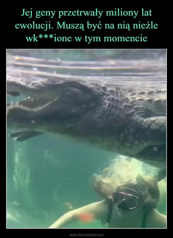 
    Jej geny przetrwały miliony lat ewolucji. Muszą być na nią nieźle wk***ione w tym momencie