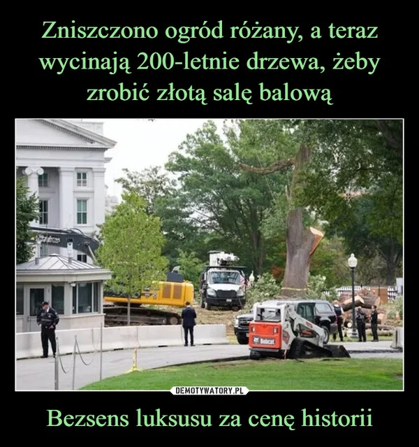 
    Zniszczono ogród różany, a teraz wycinają 200-letnie drzewa, żeby zrobić złotą salę balową Bezsens luksusu za cenę historii
