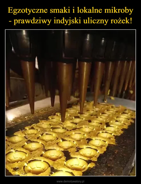 
    Egzotyczne smaki i lokalne mikroby - prawdziwy indyjski uliczny rożek!