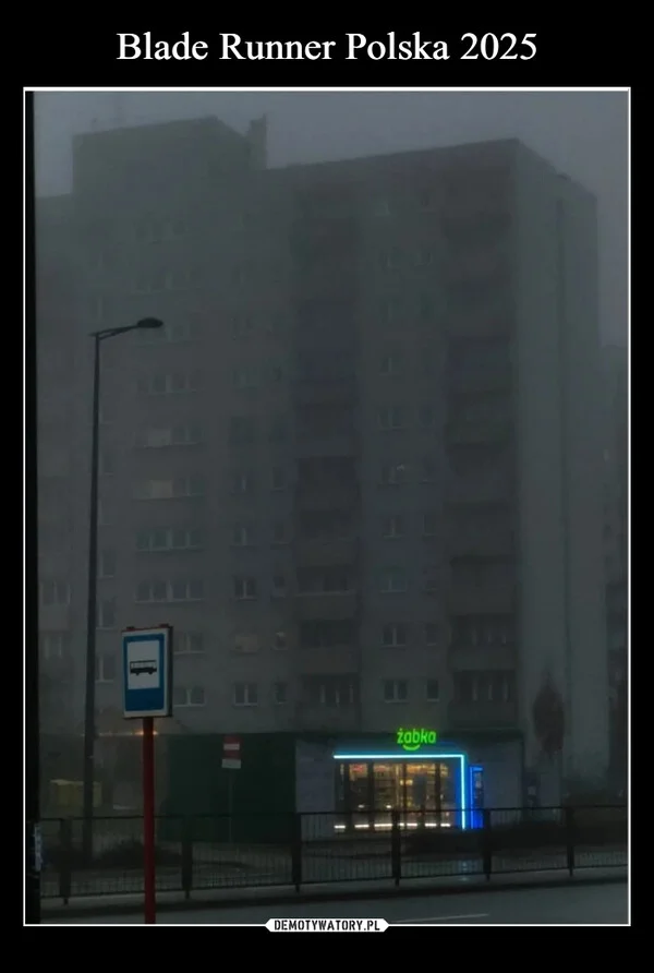
    Blade Runner Polska 2025