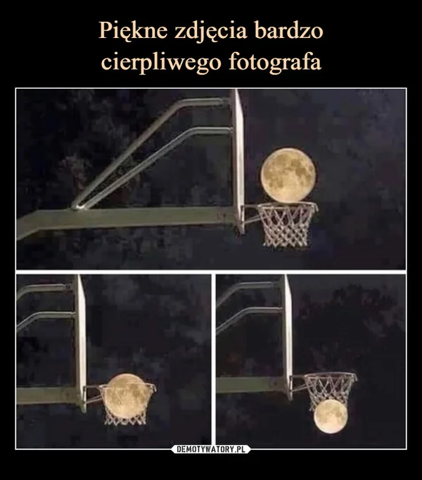 
    Piękne zdjęcia bardzo cierpliwego fotografa