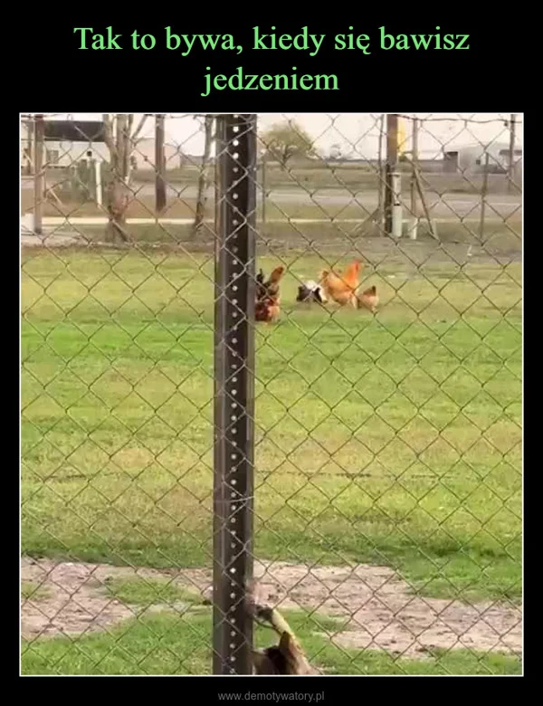 
    Tak to bywa, kiedy się bawisz jedzeniem