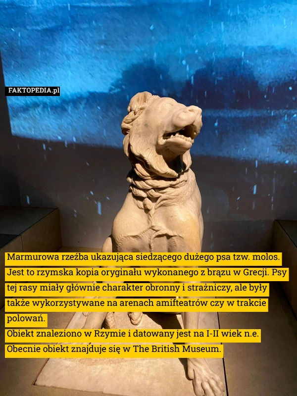 
    Marmurowa rzeźba ukazująca siedzącego dużego psa tzw. molos. Jest