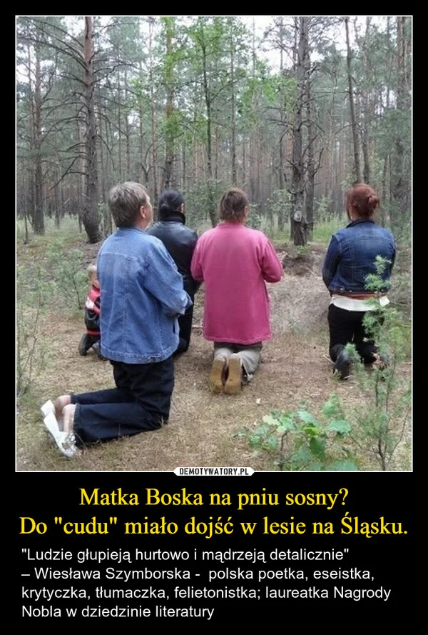 
    Matka Boska na pniu sosny? Do 