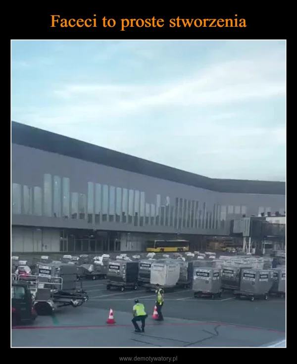 
    Faceci to proste stworzenia