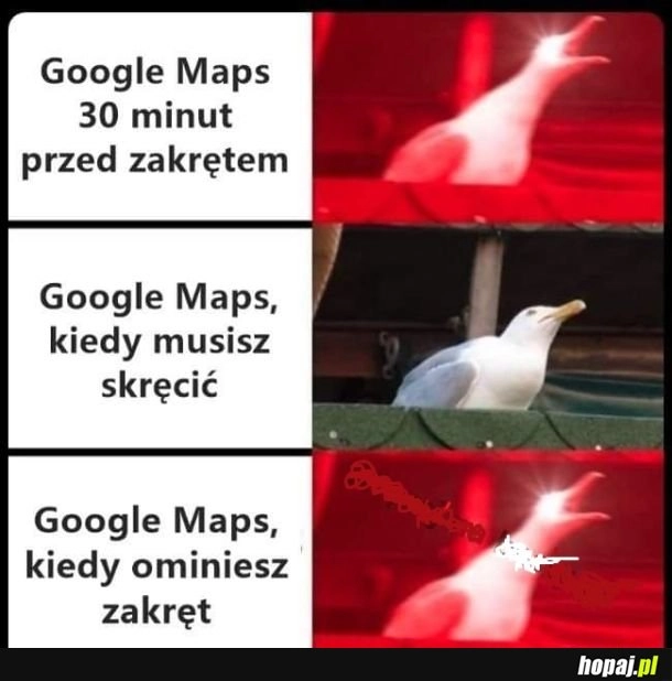 
    Nawigacja