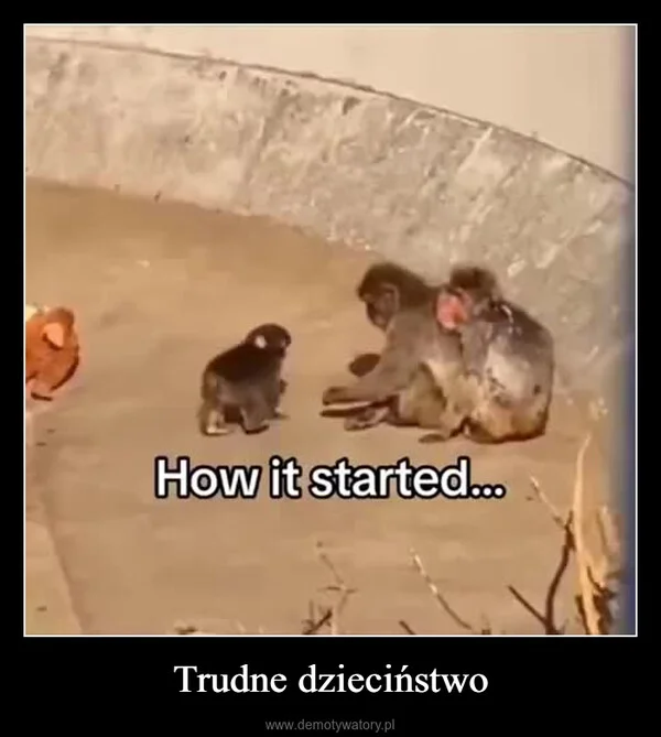 
    Trudne dzieciństwo