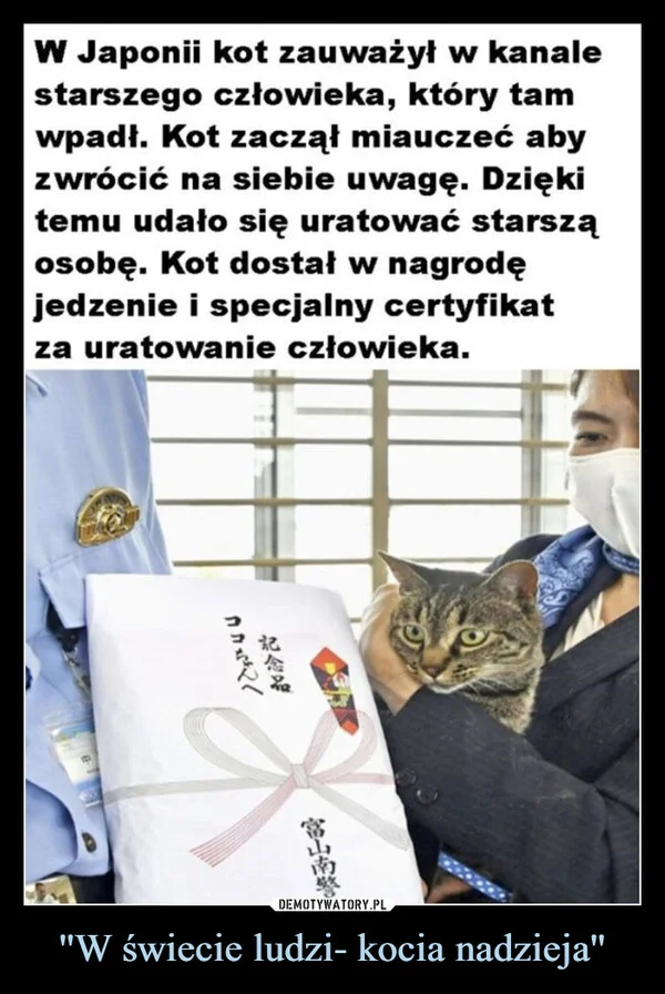 
    ''W świecie ludzi- kocia nadzieja''