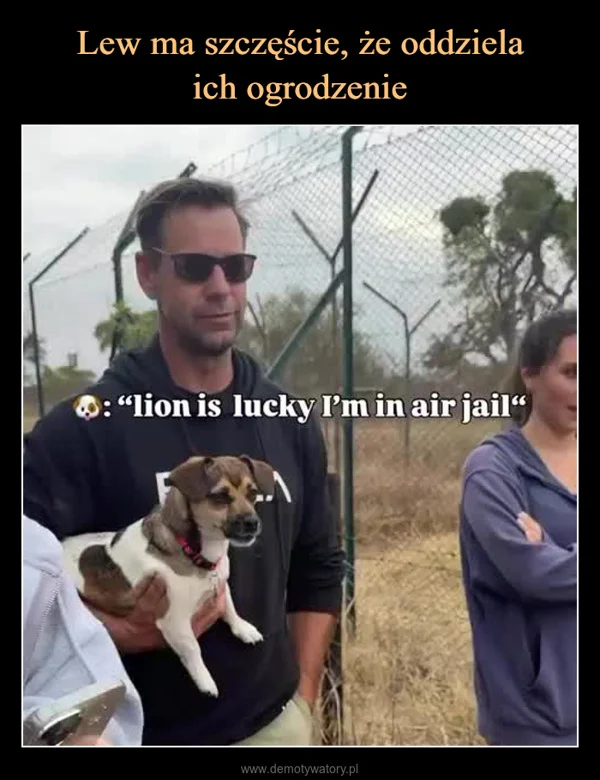
    Lew ma szczęście, że oddziela ich ogrodzenie