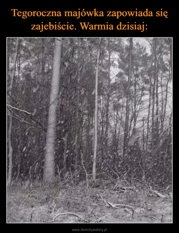 
    Tegoroczna majówka zapowiada się zajebiście. Warmia dzisiaj: