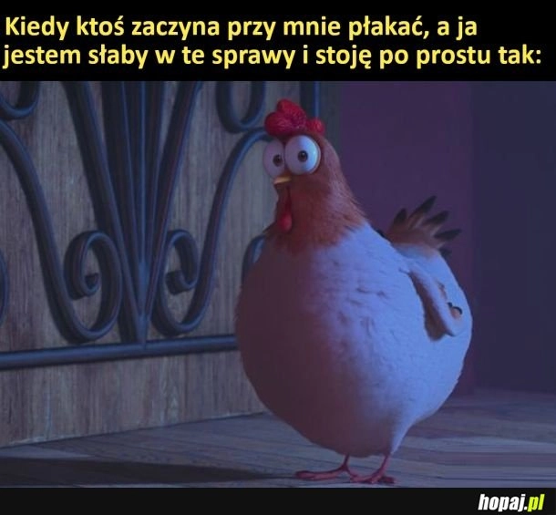 Nie wiem co zrobić