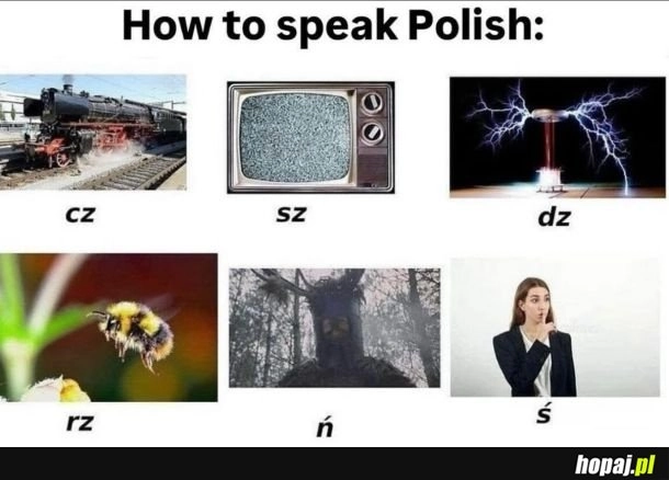 Szybki tutorial