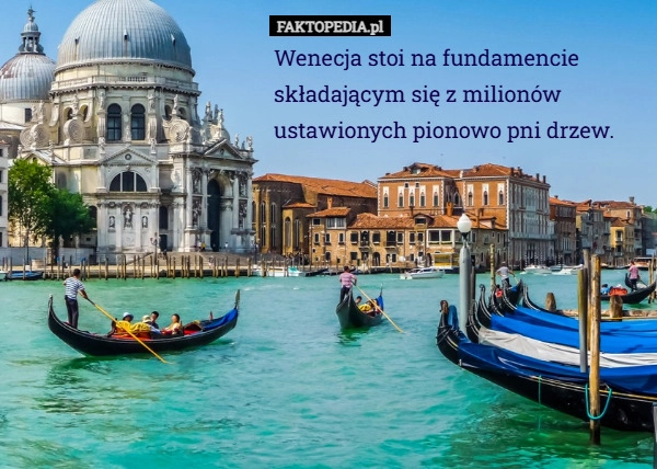 Wenecja stoi na fundamencie składającym się z milionów ustawionych pionowo