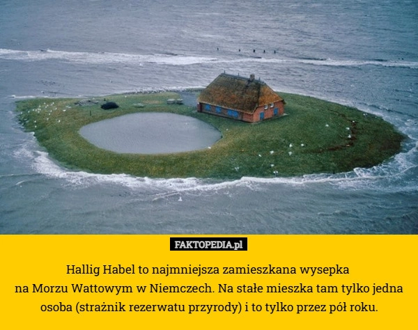  Hallig Habel to najmniejsza zamieszkana wysepka 
na Morzu Wattowym w Niemczech.