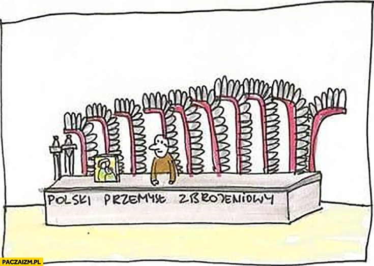 Polski przemysł zbrojeniowy husaria doczepiane pióra