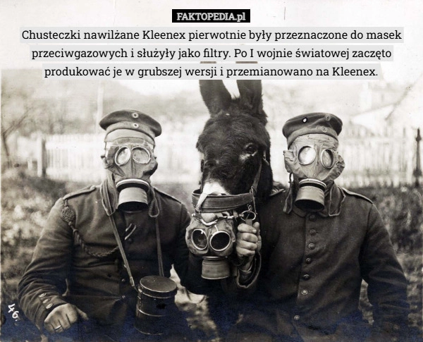 
    Chusteczki nawilżane Kleenex pierwotnie były przeznaczone do masek przeciwgazowych