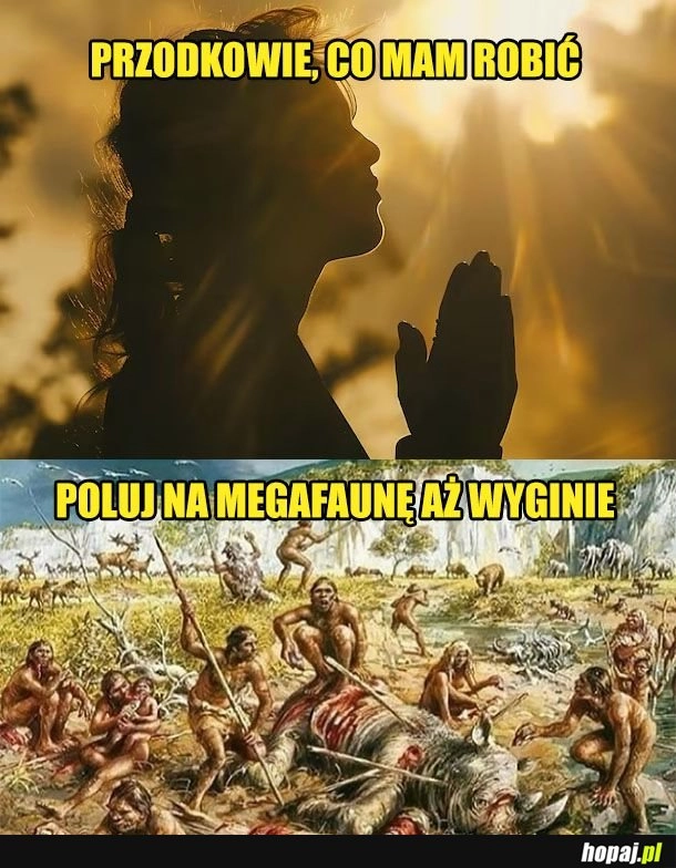 
    Dzięki, przodkowie