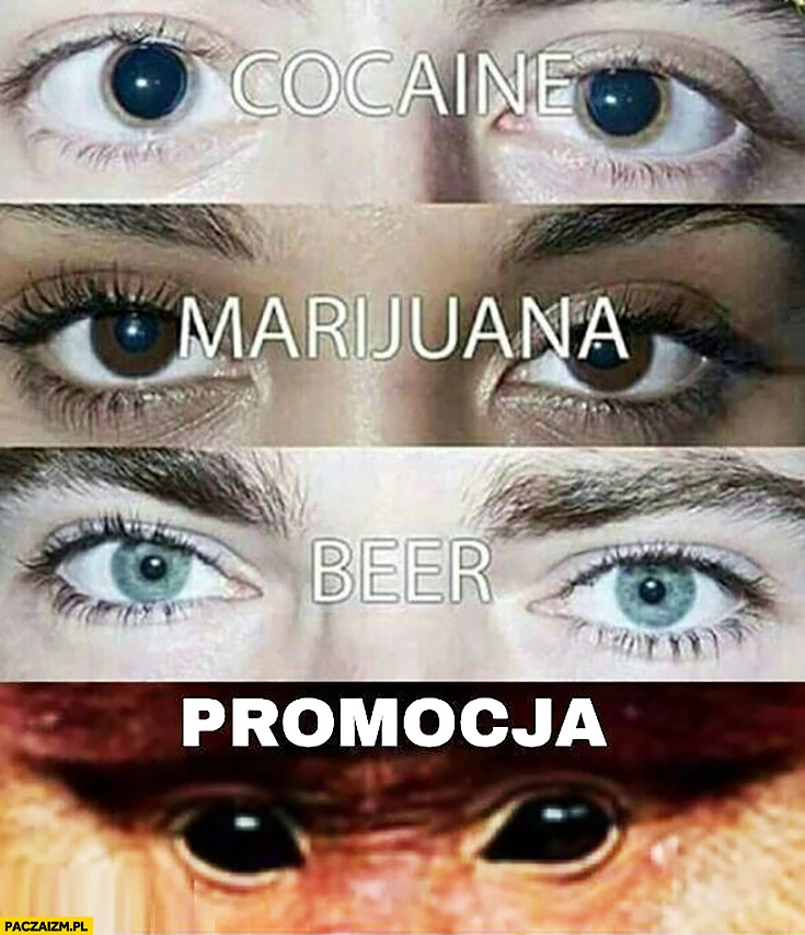 
    Oczy kokaina, marihuana, piwo, promocja typowy Polak nosacz