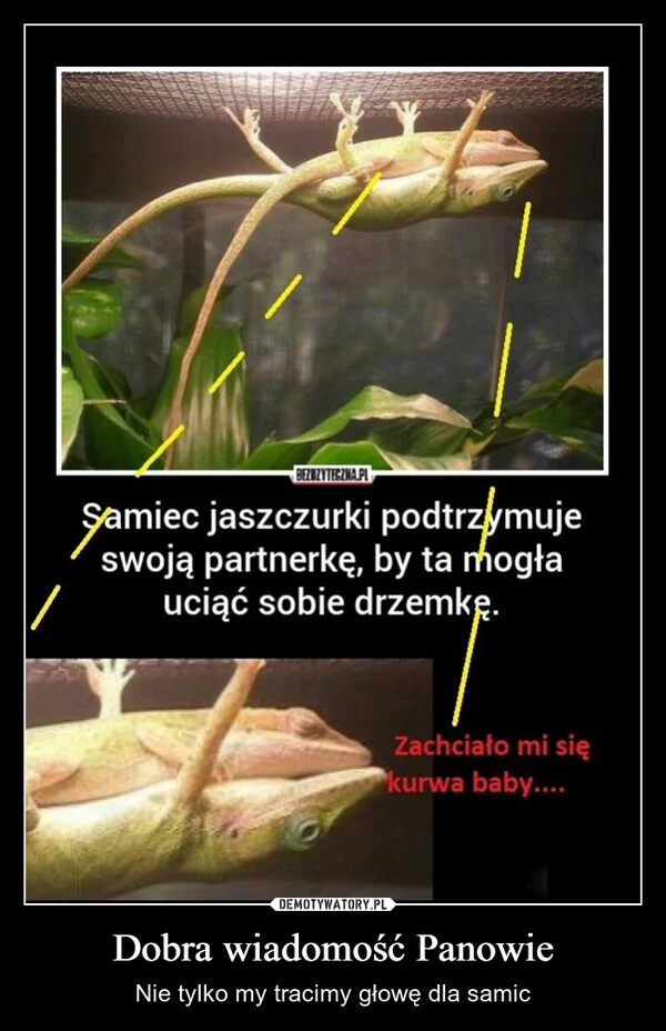 Dobra wiadomość Panowie