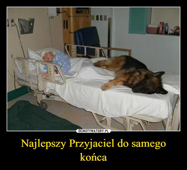 Najlepszy Przyjaciel do samego końca