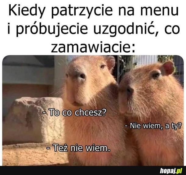 Niezdecydowanie