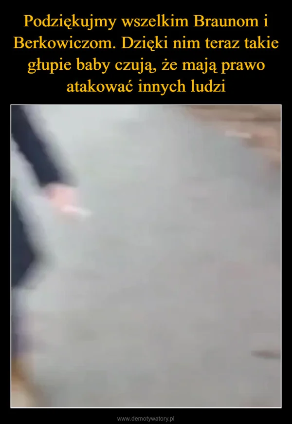 
    Podziękujmy wszelkim Braunom i Berkowiczom. Dzięki nim teraz takie głupie baby czują, że mają prawo atakować innych ludzi