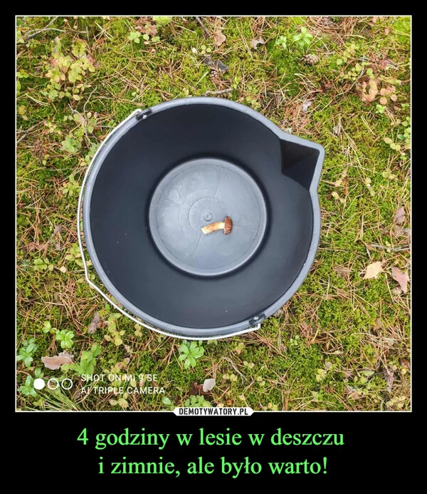 
    4 godziny w lesie w deszczu i zimnie, ale było warto!