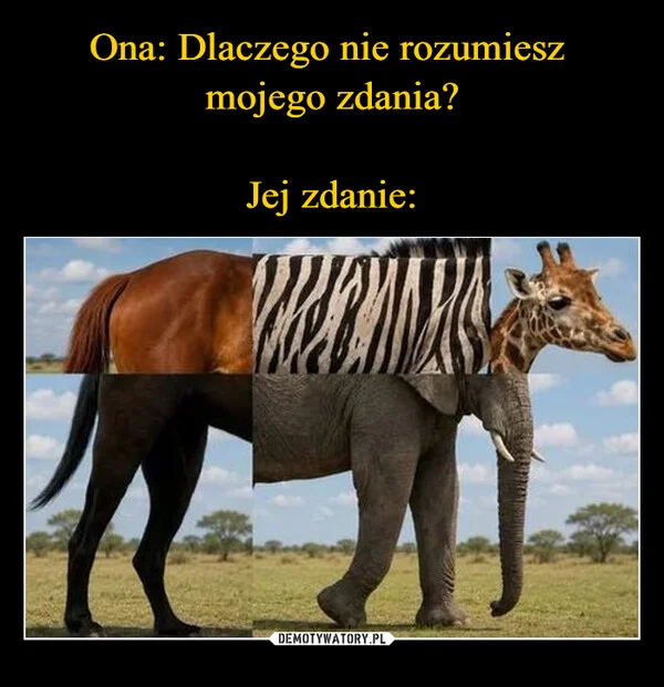 
    Ona: Dlaczego nie rozumiesz mojego zdania? Jej zdanie: