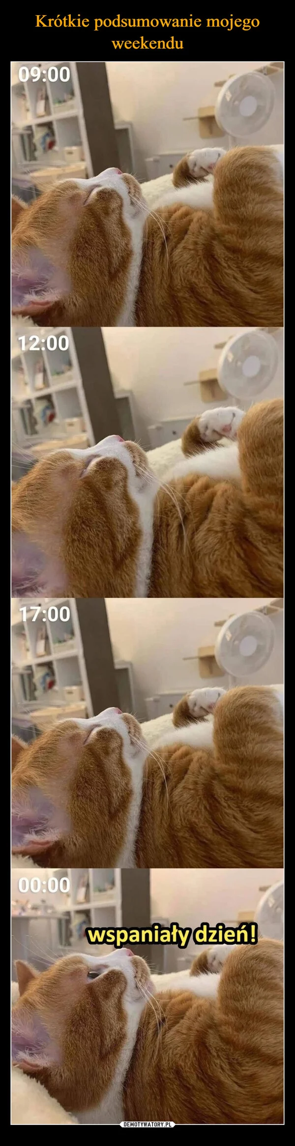 Krótkie podsumowanie mojego weekendu