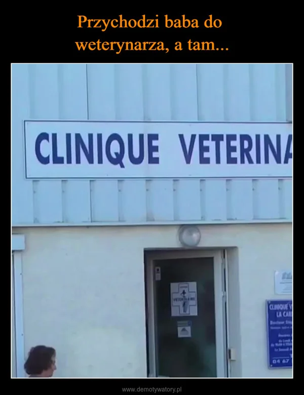 Przychodzi baba do weterynarza, a tam...