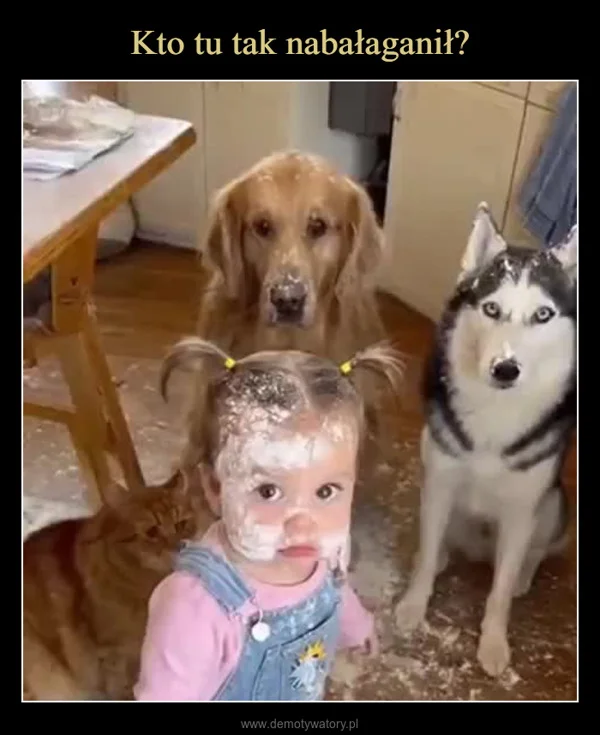 
    Kto tu tak nabałaganił?