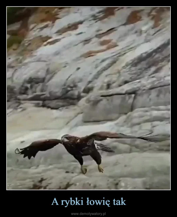
    A rybki łowię tak