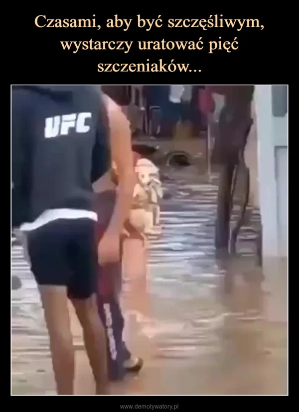 Czasami, aby być szczęśliwym, wystarczy uratować pięć szczeniaków...