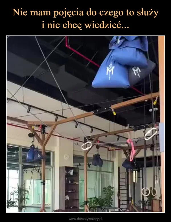 Nie mam pojęcia do czego to służy i nie chcę wiedzieć...