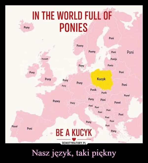 
    Nasz język, taki piękny