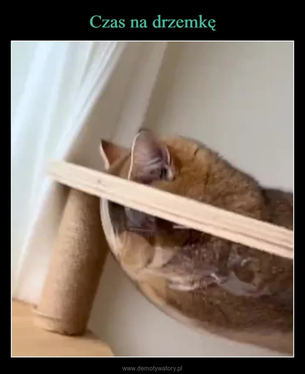 
    Czas na drzemkę