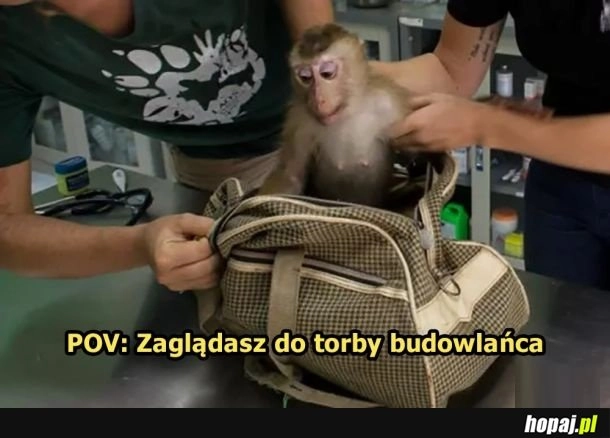 Monke