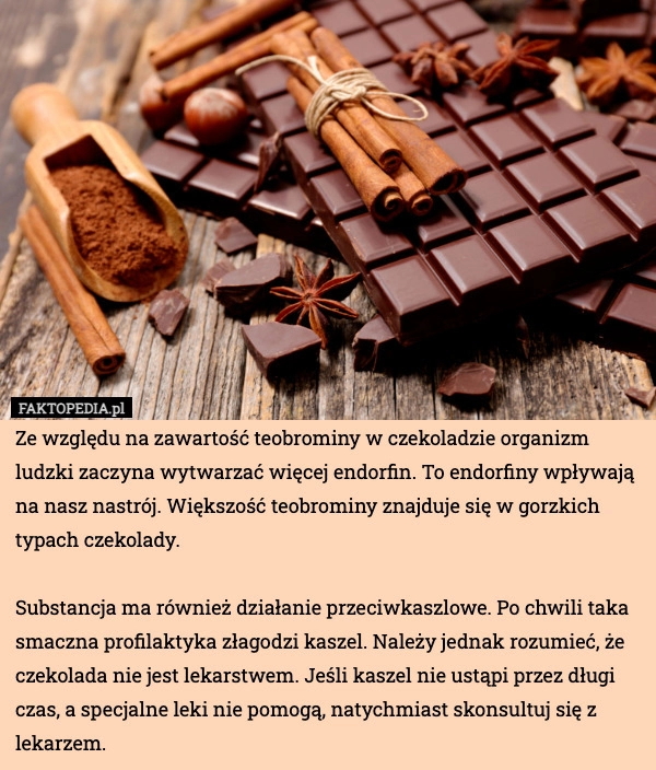 
    Ze względu na zawartość teobrominy w czekoladzie organizm ludzki zaczyna
